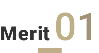 Merit01